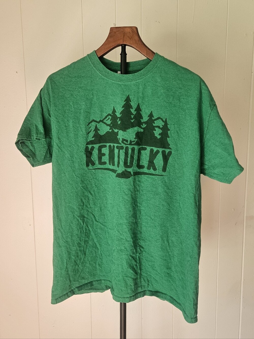 Gildan Kentucky Nature Graphic Tee - Green Size Large